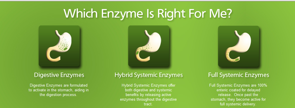 Enzyme Choices
